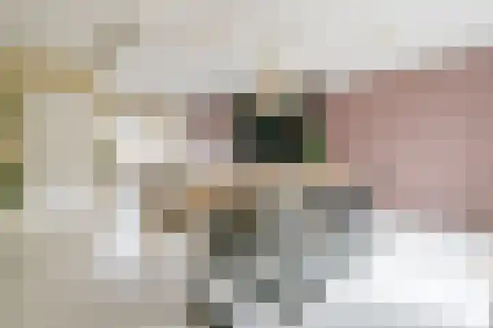 Schaepmanlaan 49 Baarn thumbnail 7