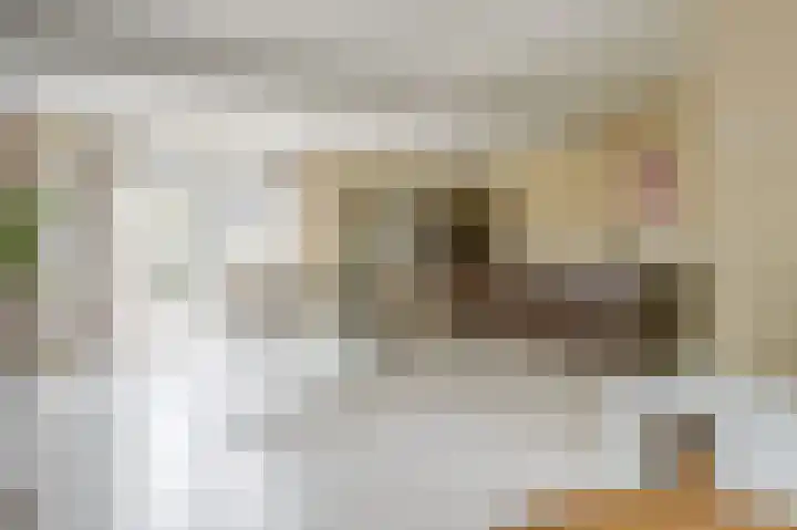 Schaepmanlaan 49 Baarn thumbnail 8