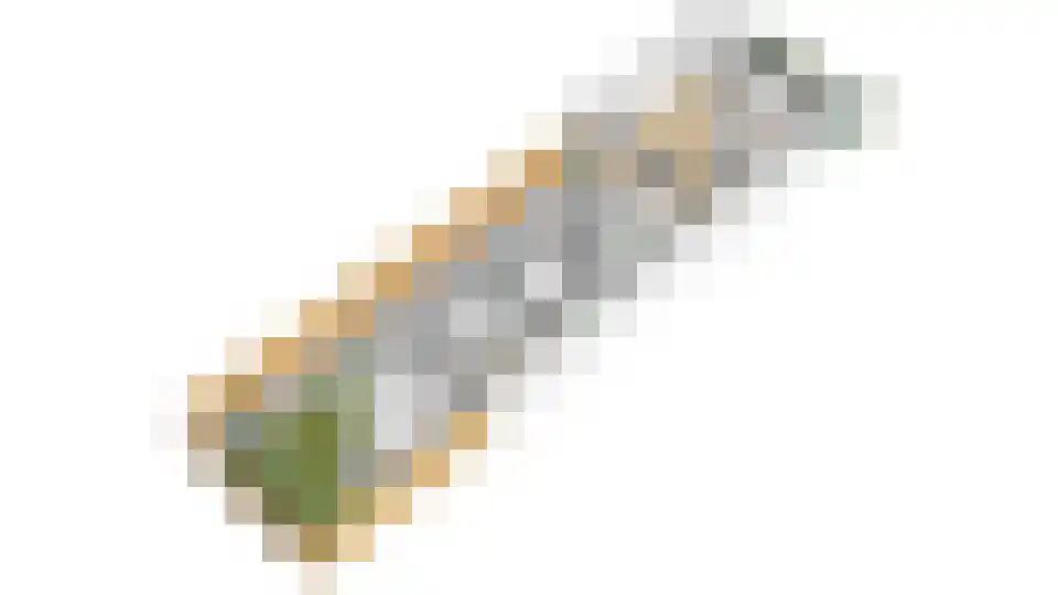 Schaepmanlaan 55 Baarn thumbnail 23