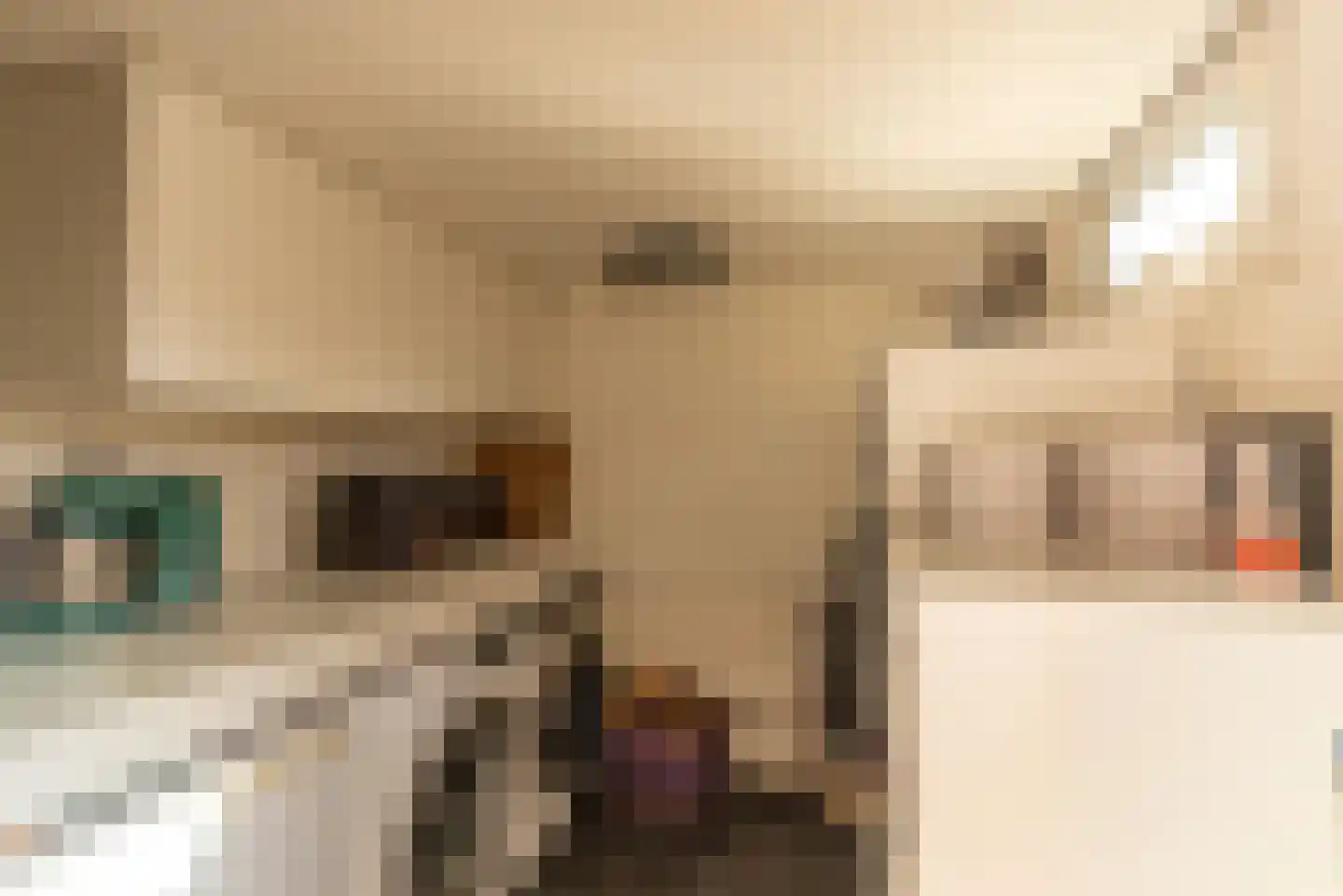 Schaepmanlaan 55 Baarn thumbnail 6