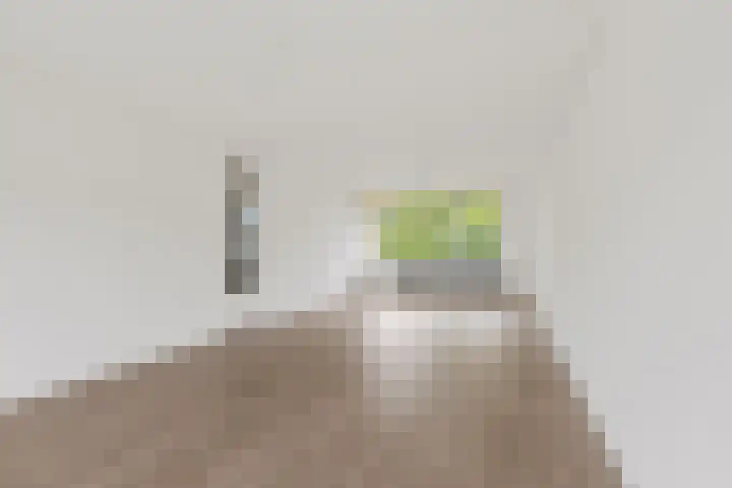 Schaepmanlaan 59 Groningen thumbnail 6