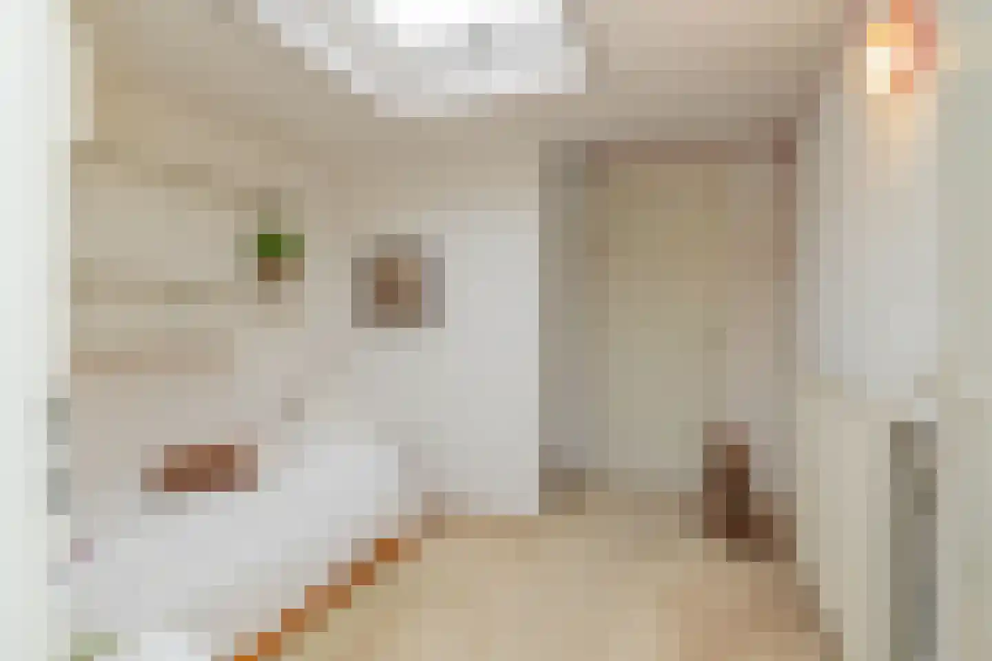 Schaepmanlaan 62 Hillegom thumbnail 24