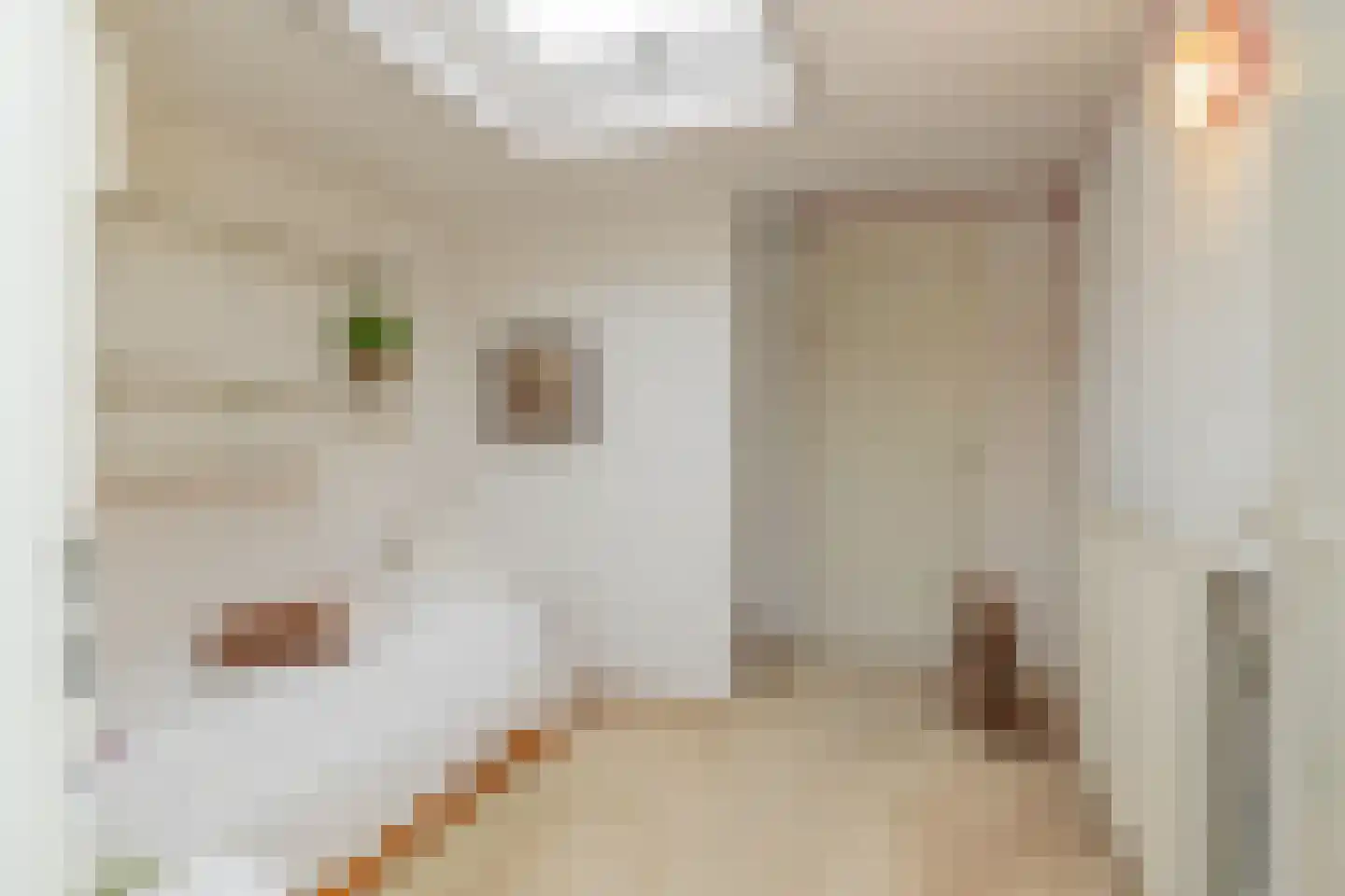 Schaepmanlaan 62 Hillegom thumbnail 24