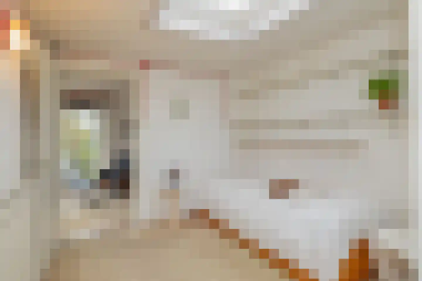 Schaepmanlaan 62 Hillegom thumbnail 25
