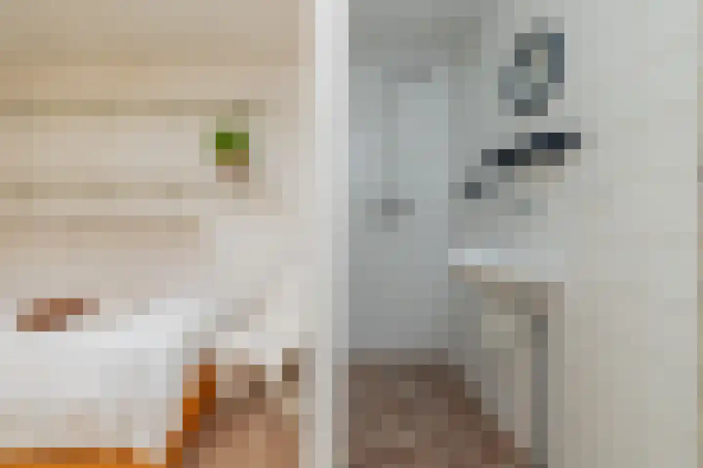 Schaepmanlaan 62 Hillegom thumbnail 26