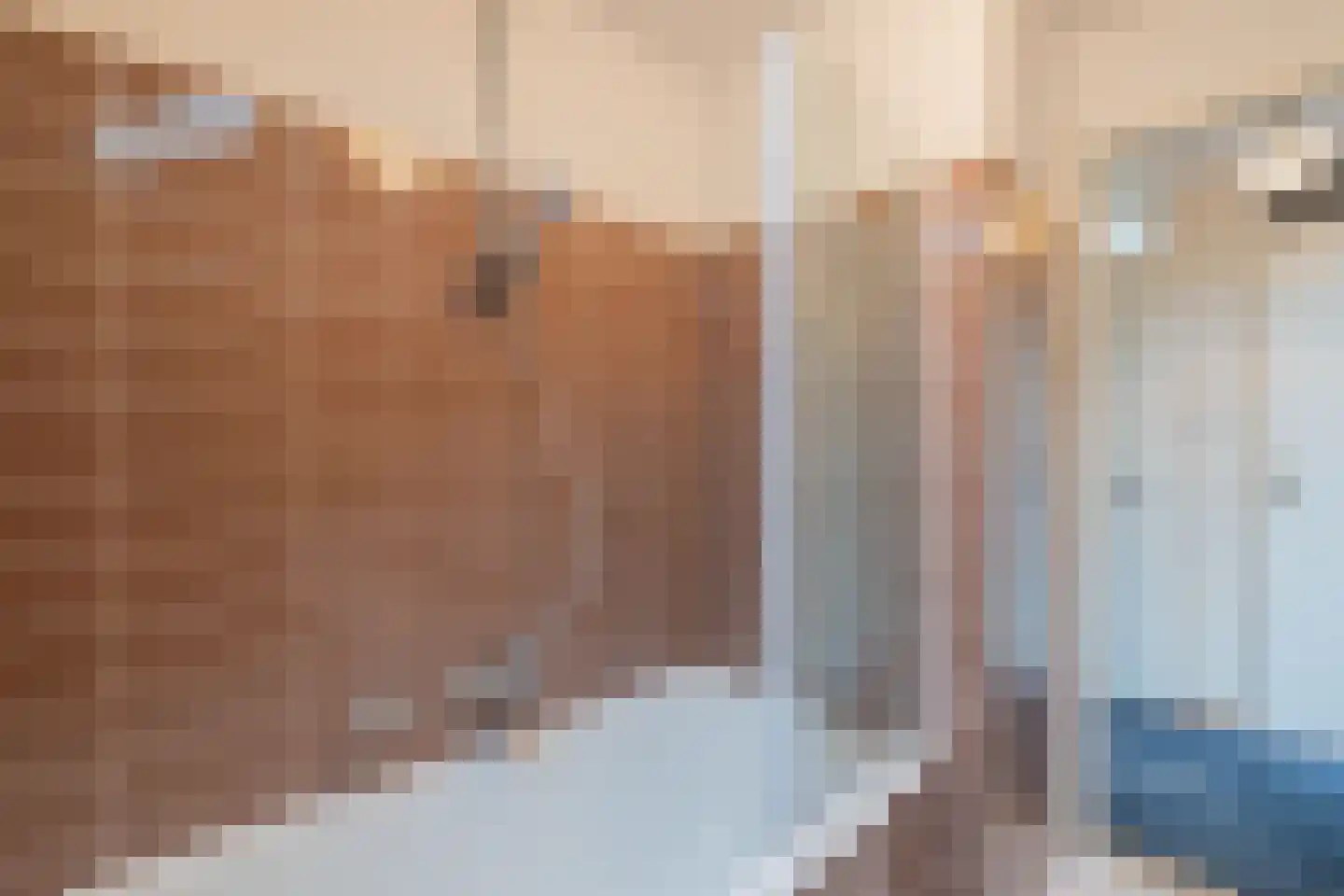 Schaepmanlaan 62 Hillegom thumbnail 36