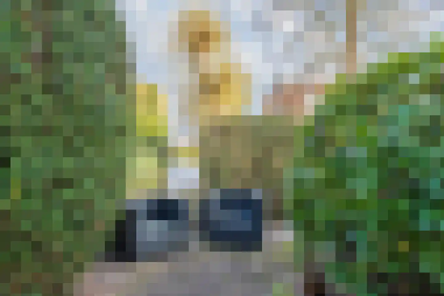 Schaepmanlaan 62 Hillegom thumbnail 47