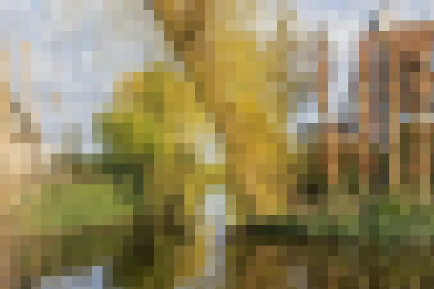 Schaepmanlaan 62 Hillegom thumbnail 50