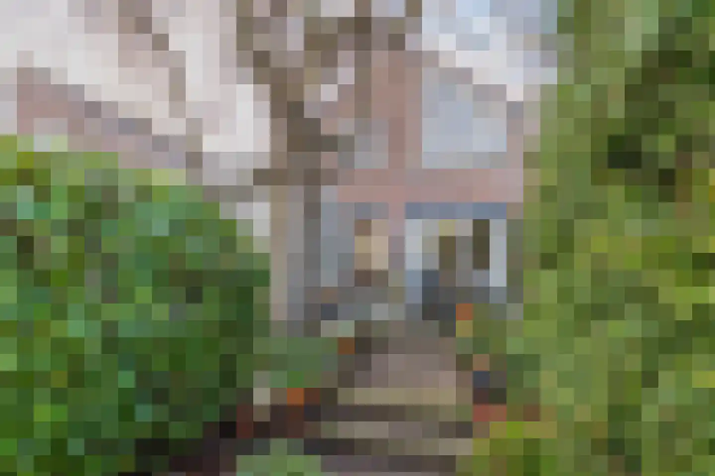 Schaepmanlaan 62 Hillegom thumbnail 51
