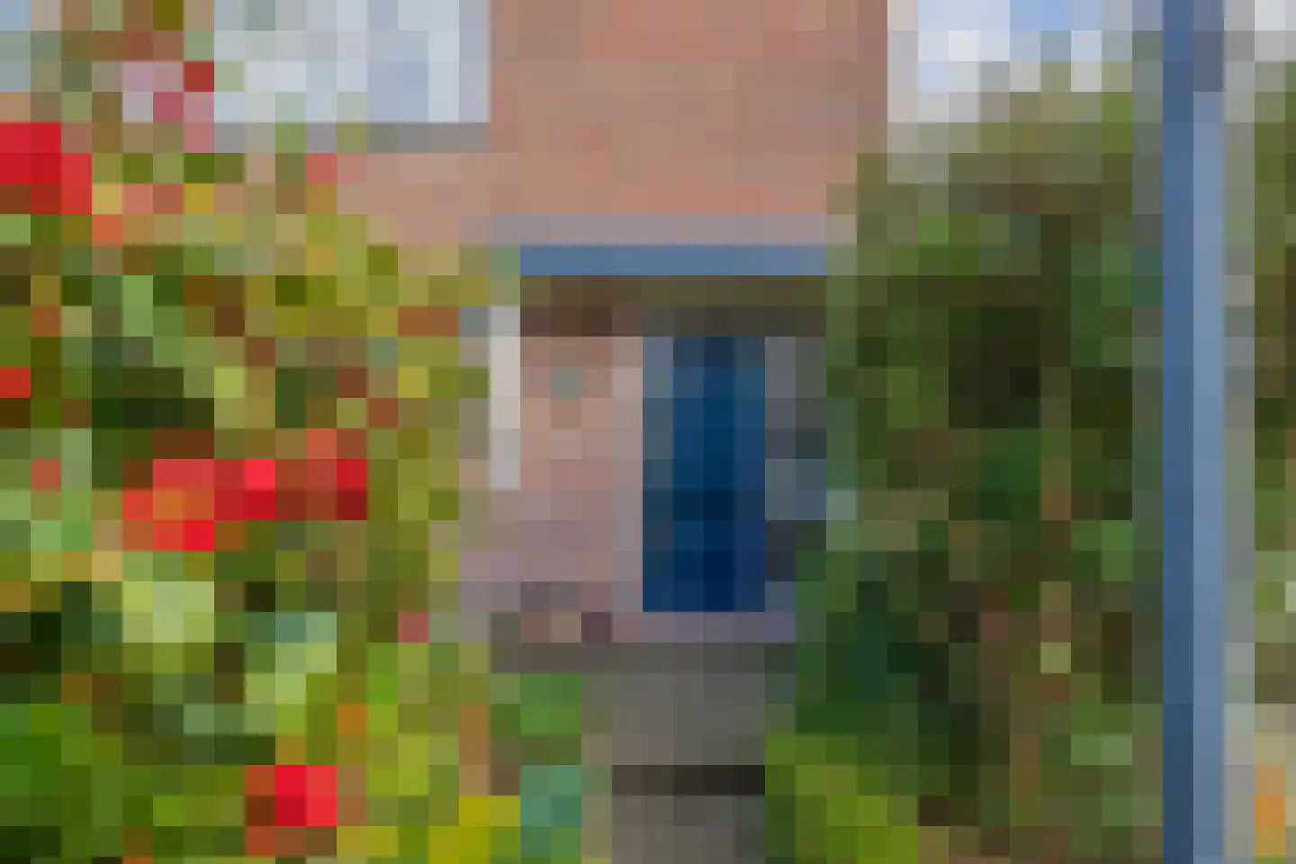 Schaepmanlaan 62 Hillegom thumbnail 6