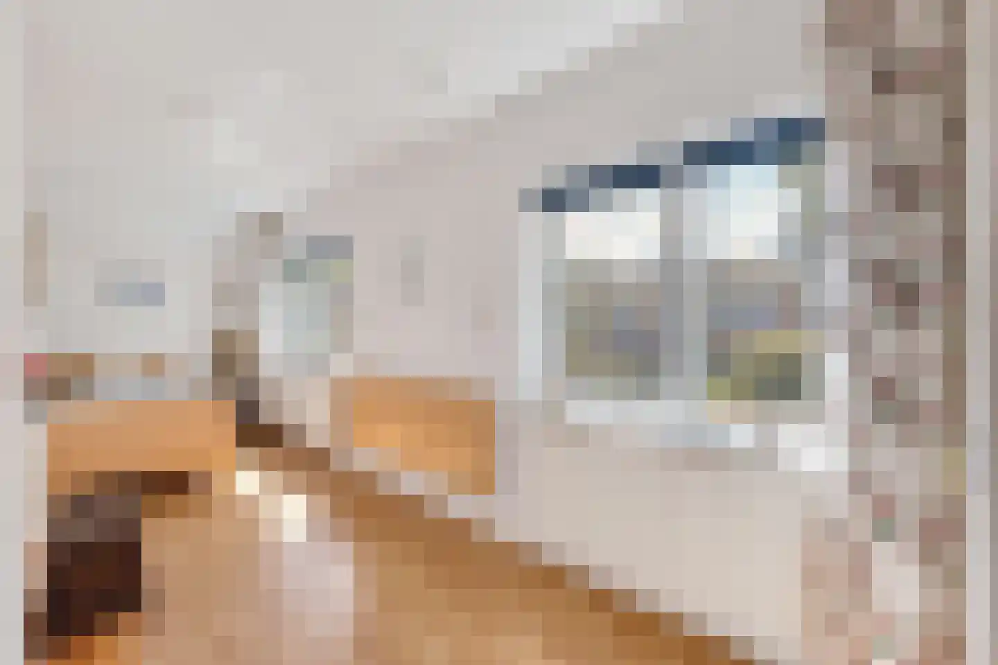 Schaepmanlaan 71 Baarn thumbnail 22