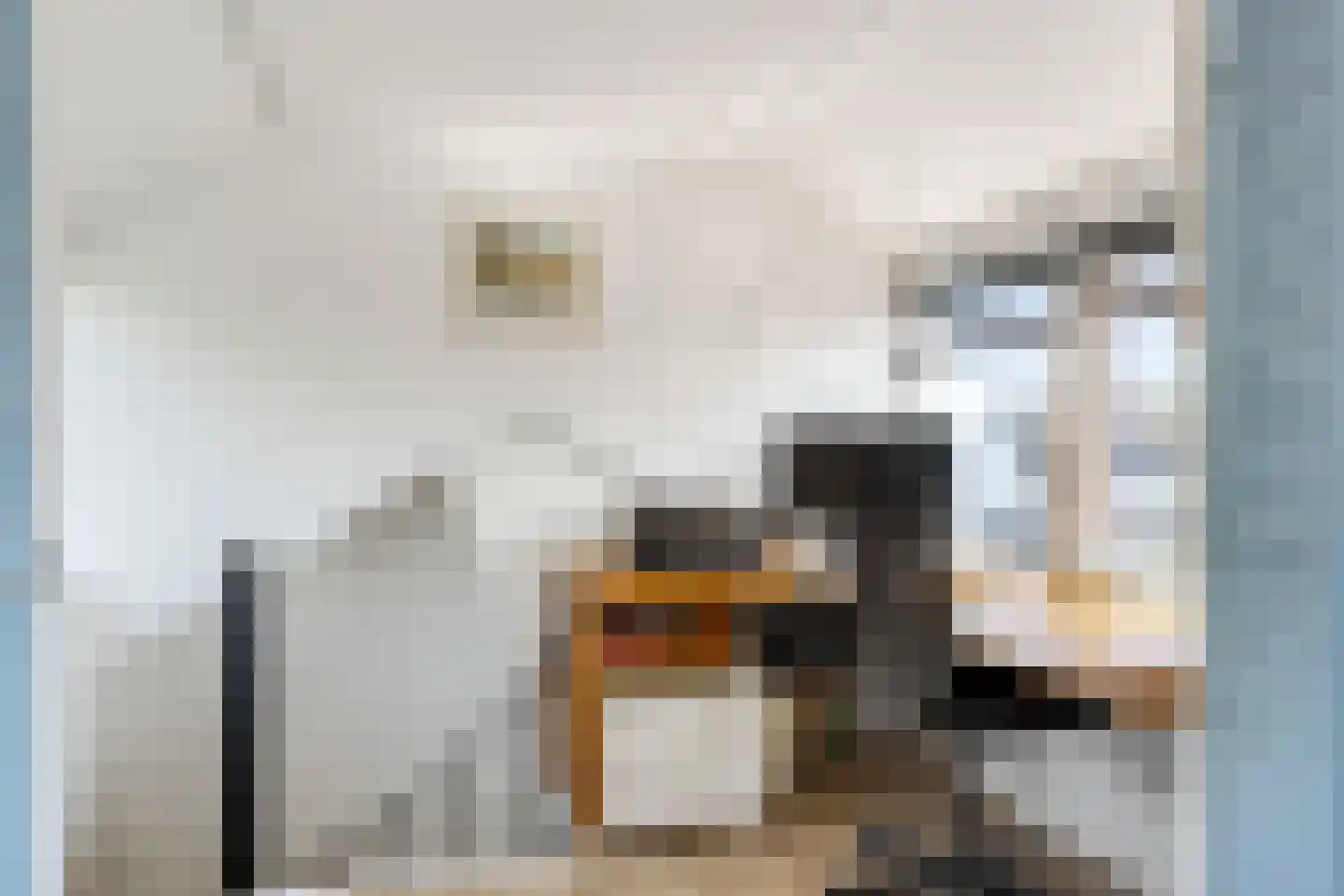 Schaepmanlaan 71 Baarn thumbnail 26