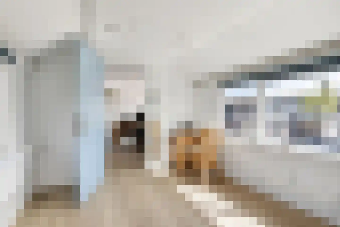 Schaepmanlaan 71 Baarn thumbnail 28