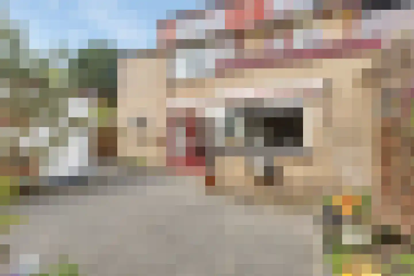 Schaepmanlaan 71 Baarn thumbnail 32