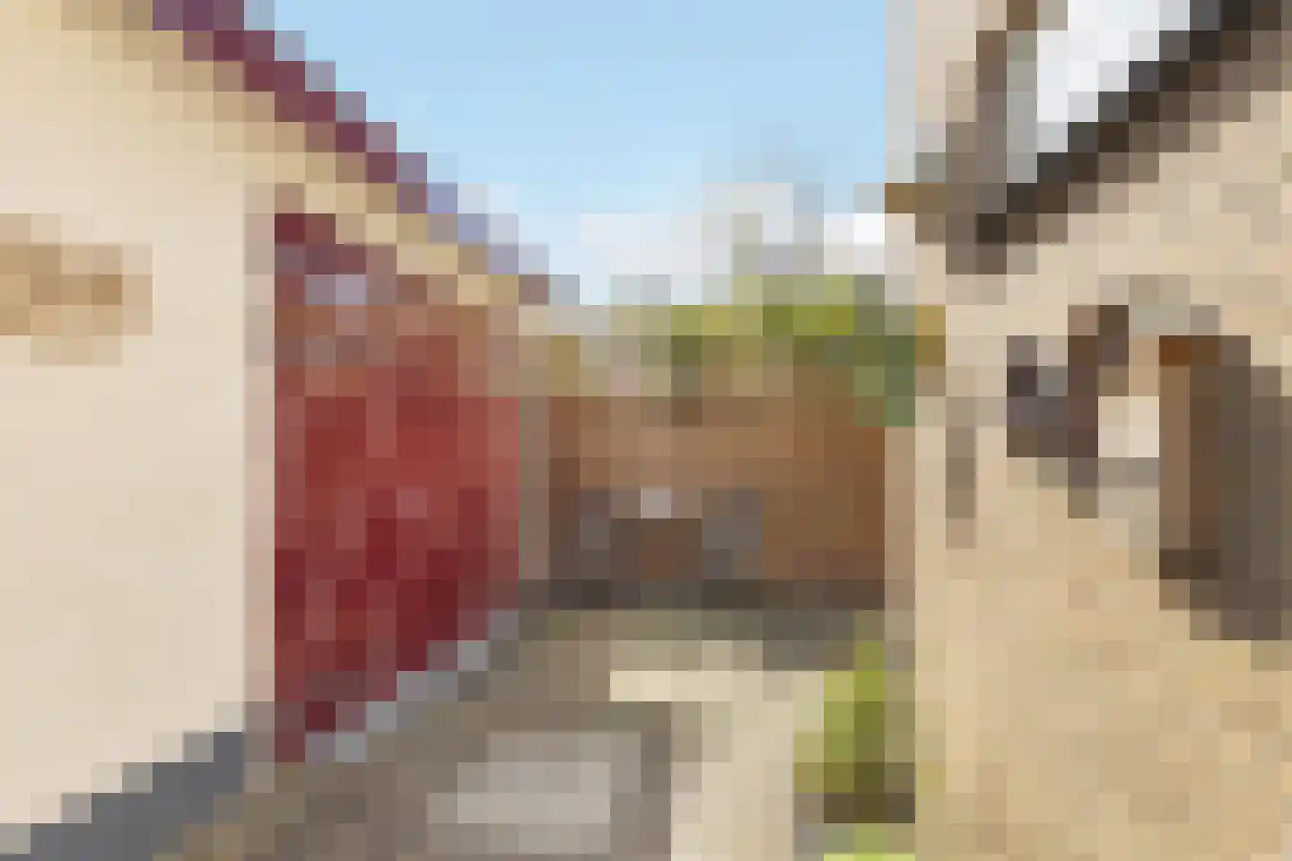 Schaepmanlaan 71 Baarn thumbnail 33