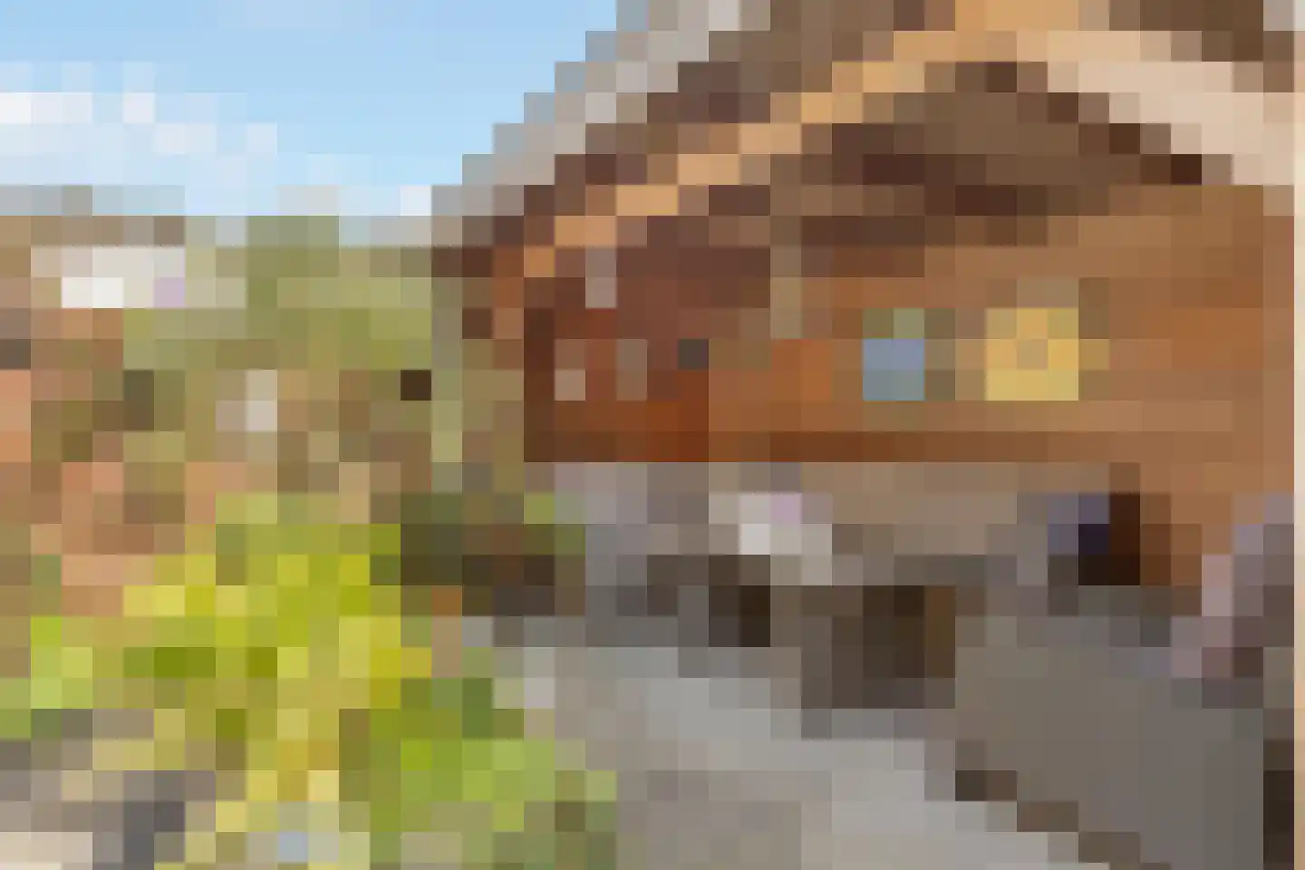 Schaepmanlaan 71 Baarn thumbnail 4