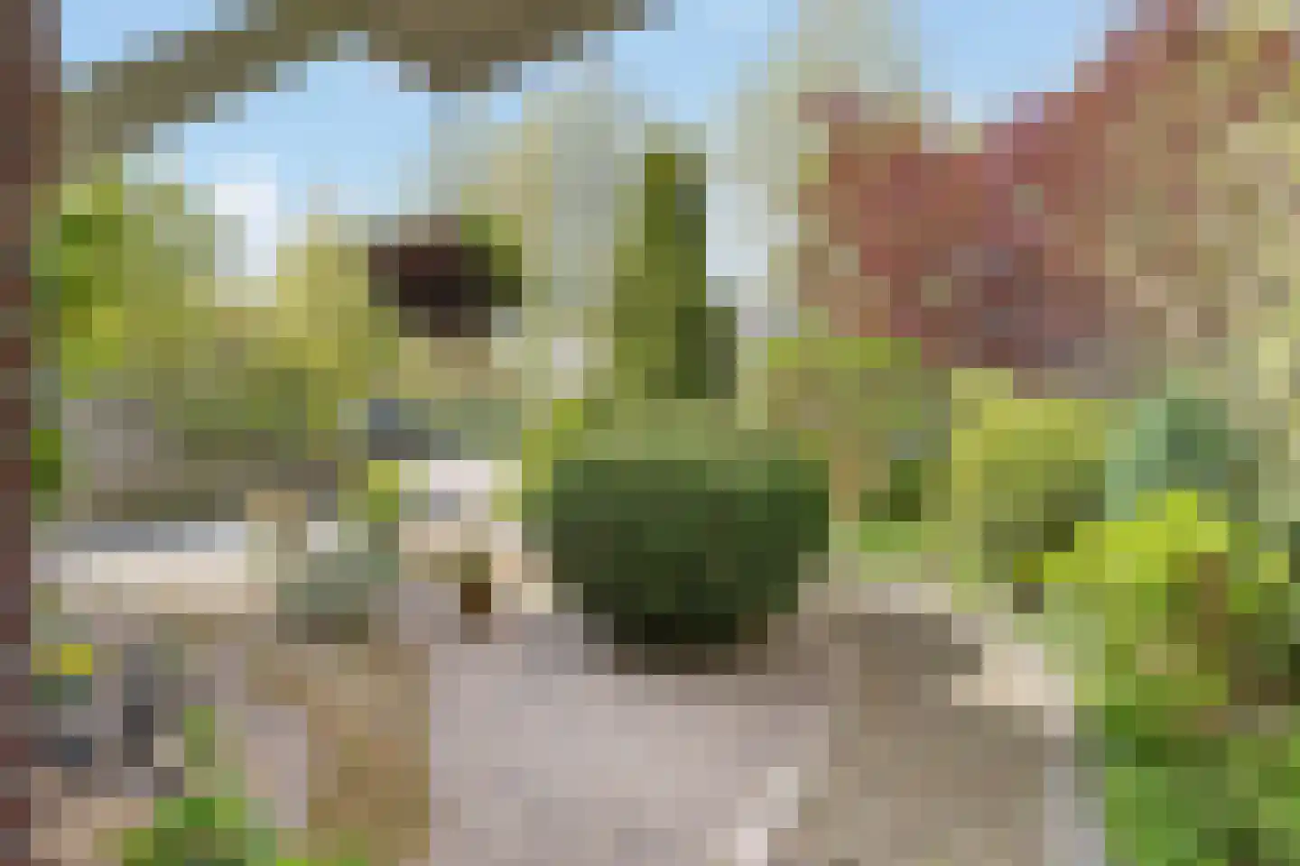Schaepmanlaan 71 Baarn thumbnail 7
