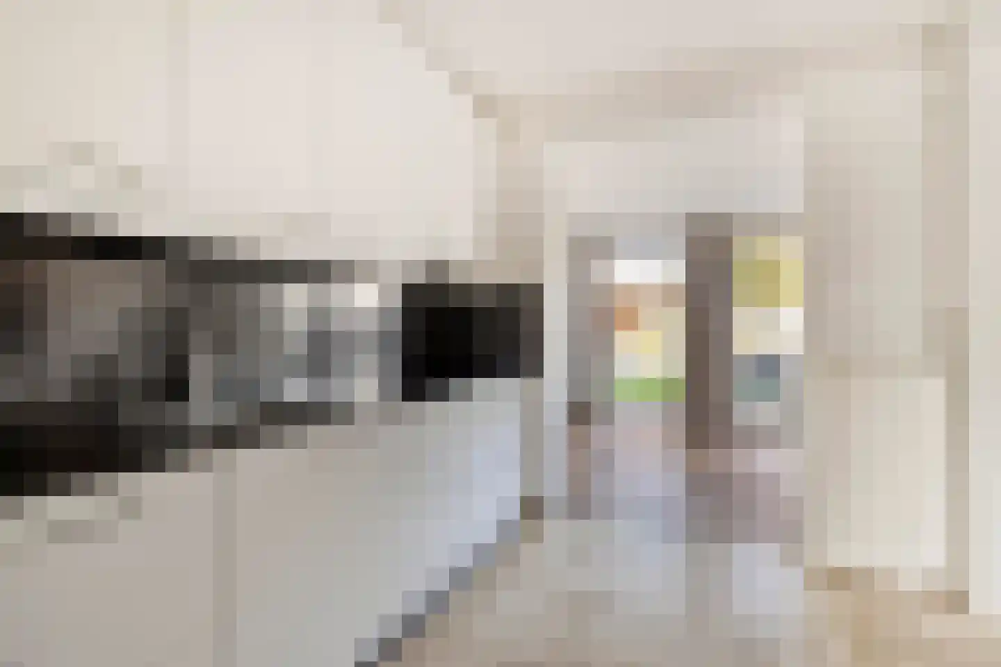 Schaepmanlaan 79 Oss thumbnail 10