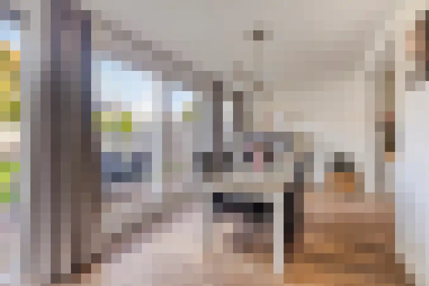 Schaepmanlaan 79 Oss thumbnail 11