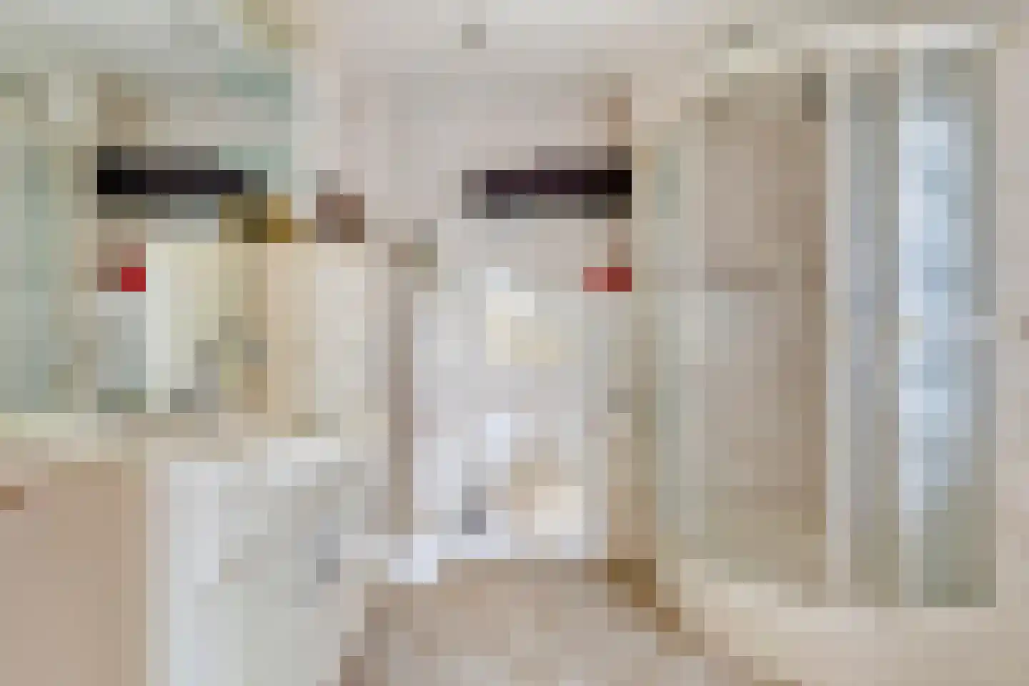 Schaepmanlaan 79 Oss thumbnail 18