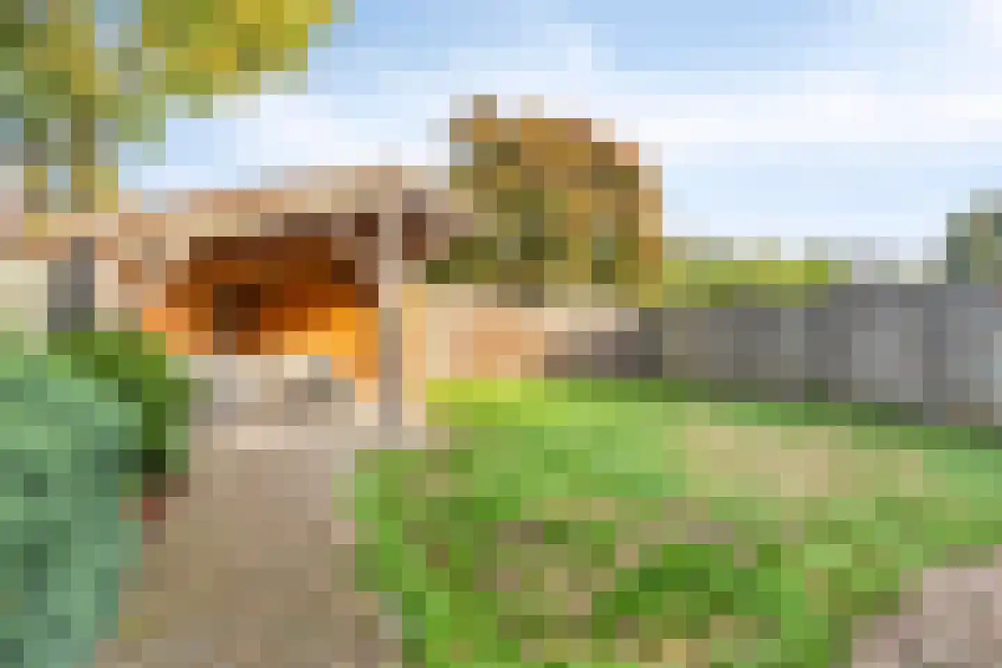 Schaepmanlaan 79 Oss thumbnail 27