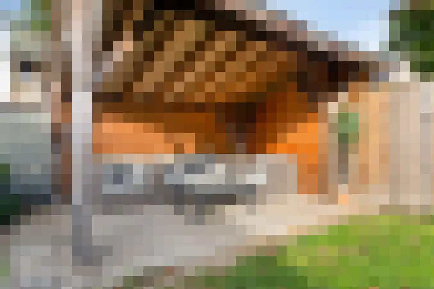 Schaepmanlaan 79 Oss thumbnail 28