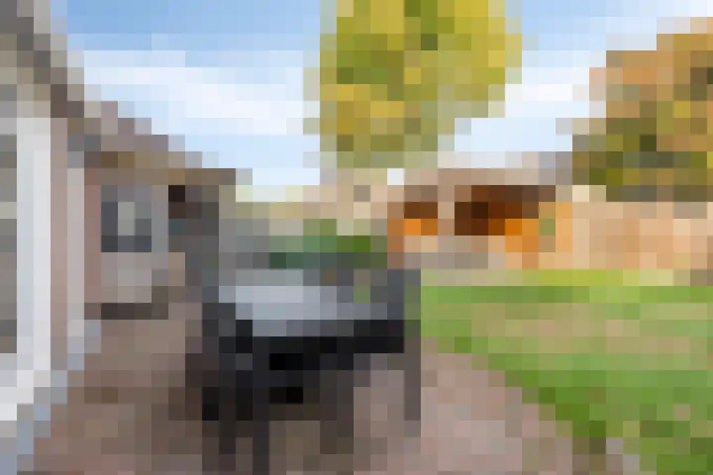 Schaepmanlaan 79 Oss thumbnail 30