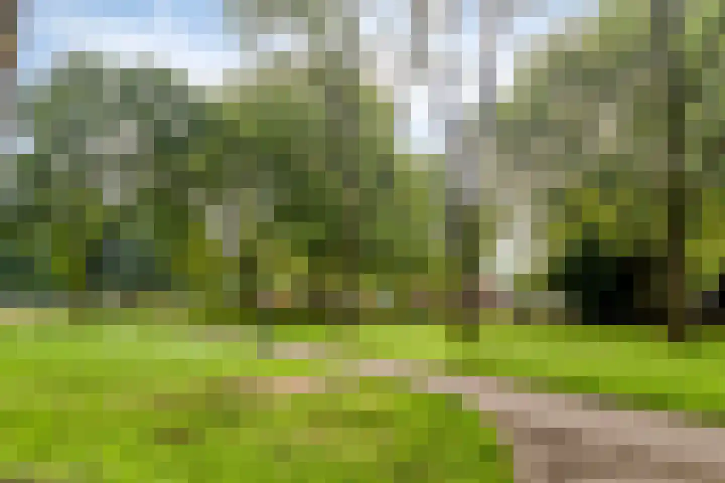 Schaepmanlaan 79 Oss thumbnail 32