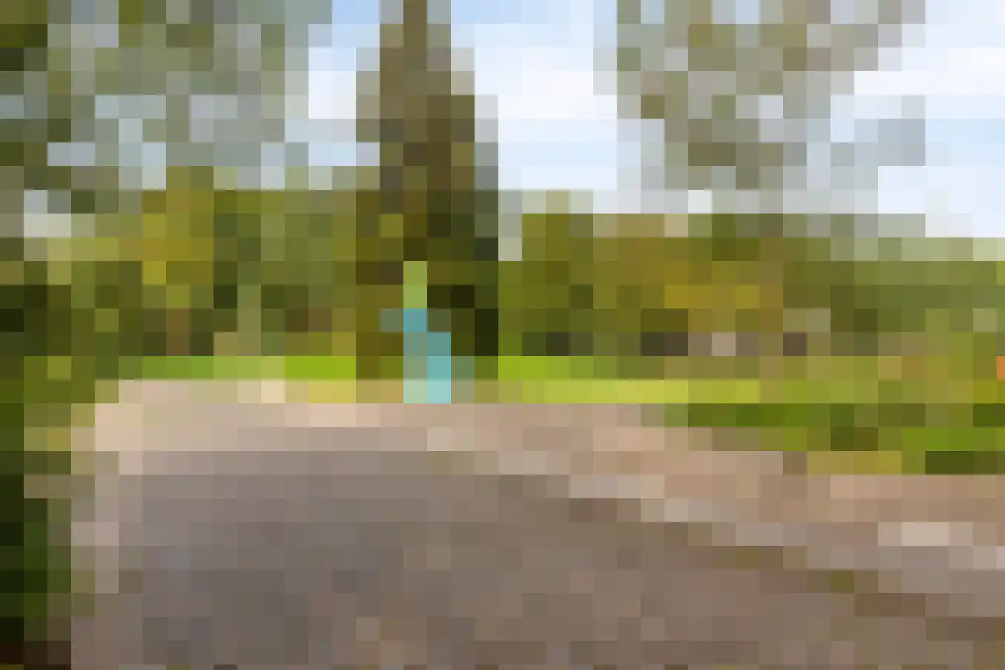 Schaepmanlaan 79 Oss thumbnail 33