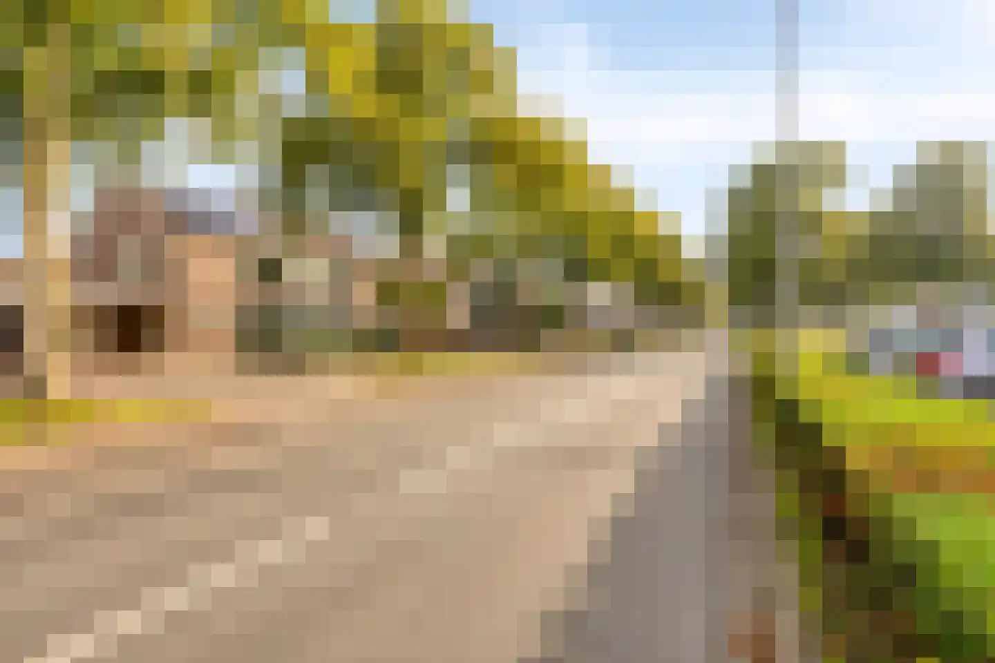 Schaepmanlaan 79 Oss thumbnail 35