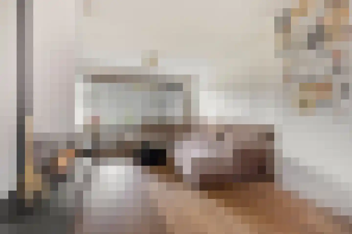 Schaepmanlaan 79 Oss thumbnail 4