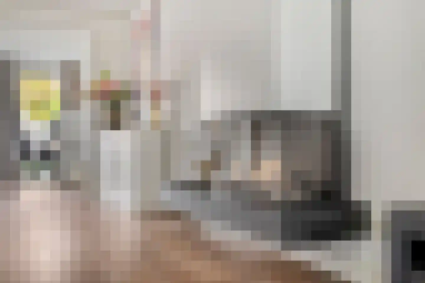 Schaepmanlaan 79 Oss thumbnail 6