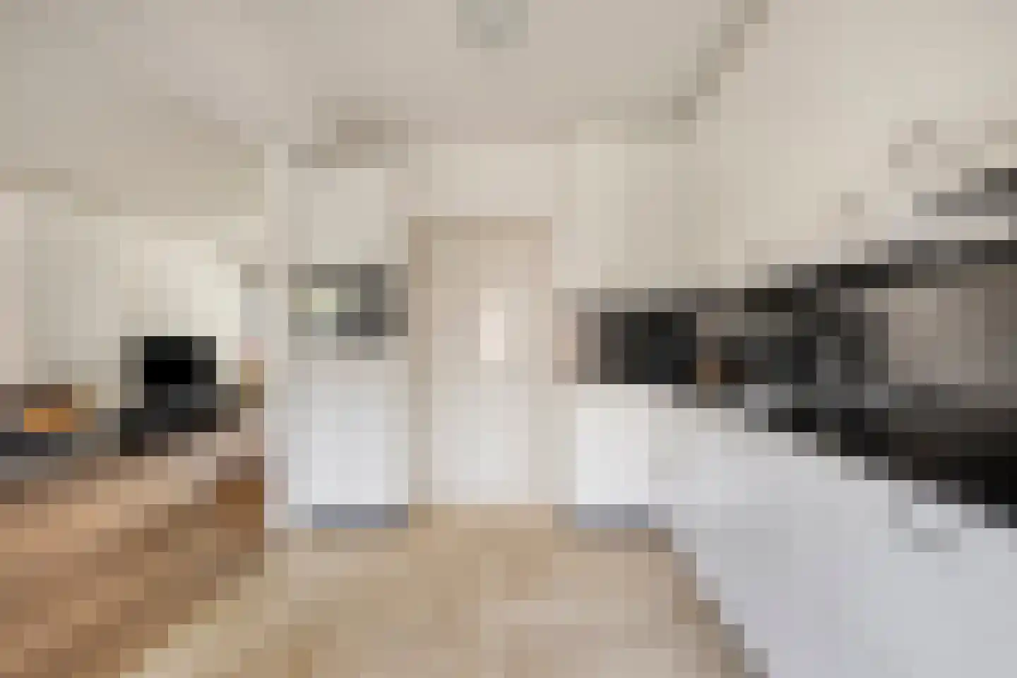 Schaepmanlaan 79 Oss thumbnail 8