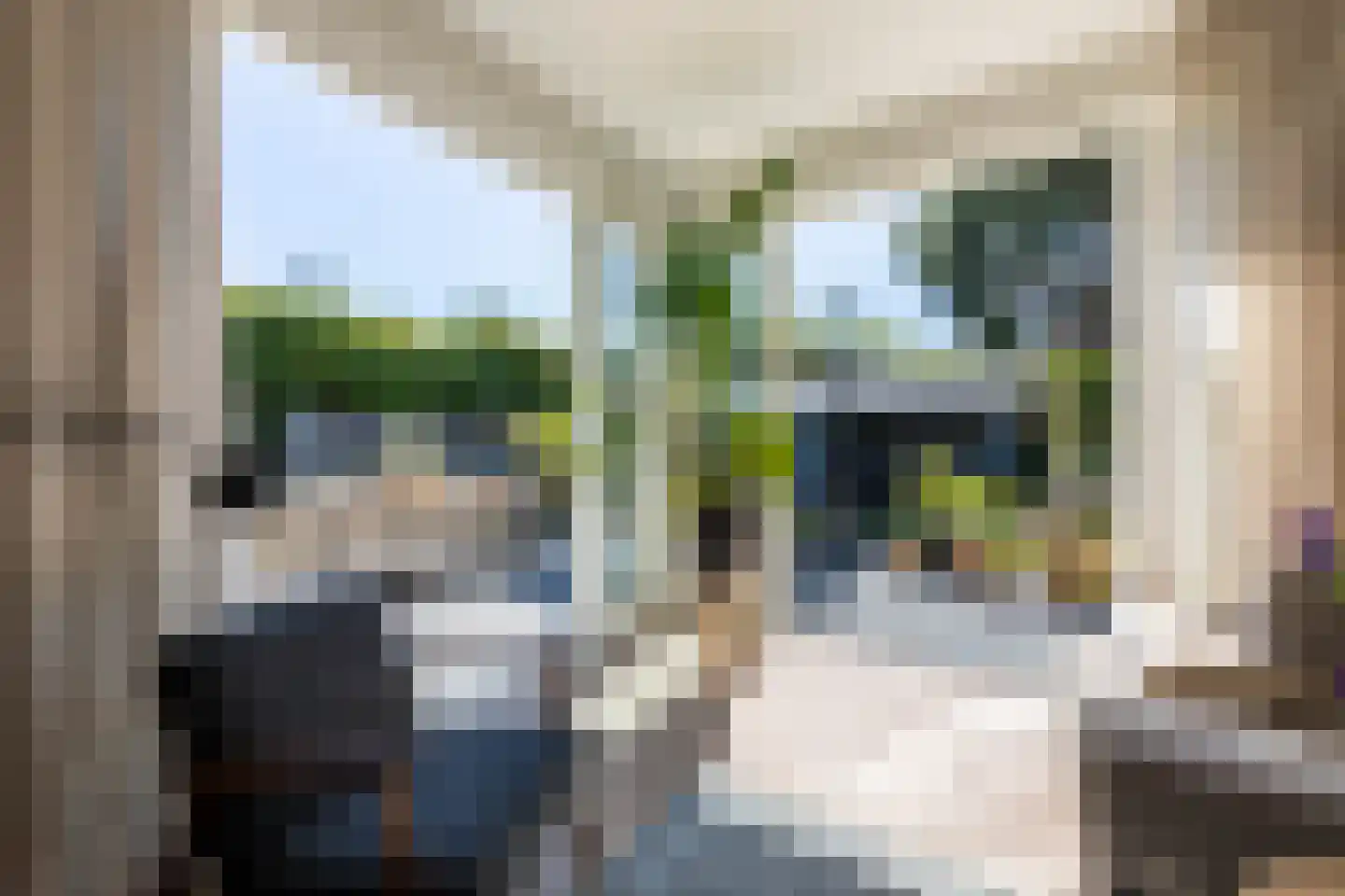 Schaepmanlaan 8 Bloemendaal thumbnail 9