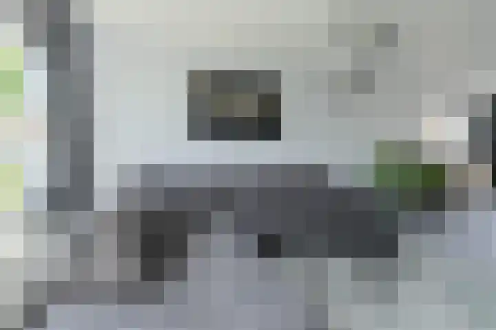 Schaepmanlaan 8 Oosterhout thumbnail 11