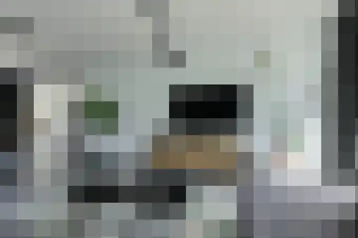 Schaepmanlaan 8 Oosterhout thumbnail 12