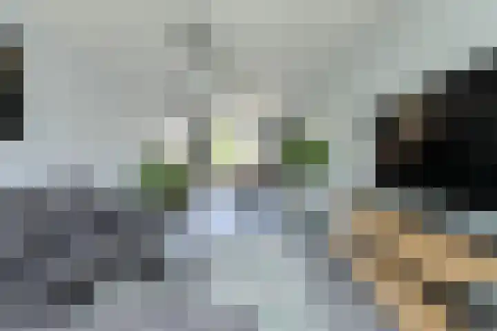 Schaepmanlaan 8 Oosterhout thumbnail 13