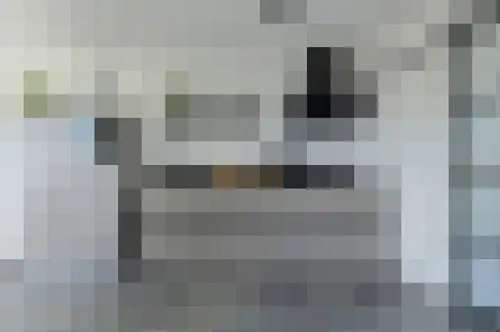 Schaepmanlaan 8 Oosterhout thumbnail 16