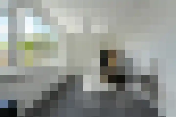 Schaepmanlaan 8 Oosterhout thumbnail 18