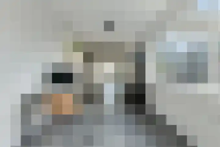 Schaepmanlaan 8 Oosterhout thumbnail 20