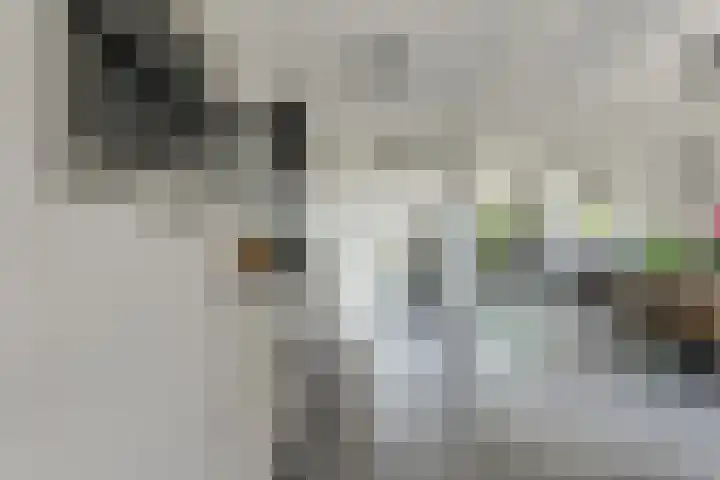 Schaepmanlaan 8 Oosterhout thumbnail 21
