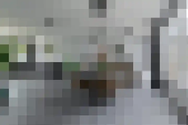 Schaepmanlaan 8 Oosterhout thumbnail 23