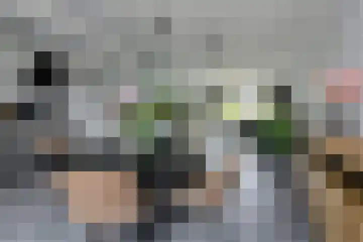 Schaepmanlaan 8 Oosterhout thumbnail 24