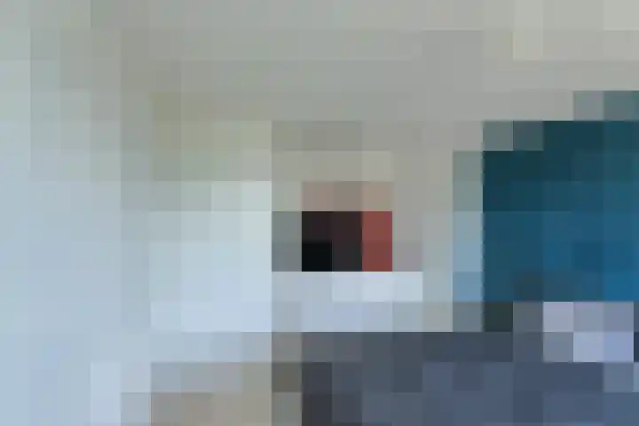 Schaepmanlaan 8 Oosterhout thumbnail 31