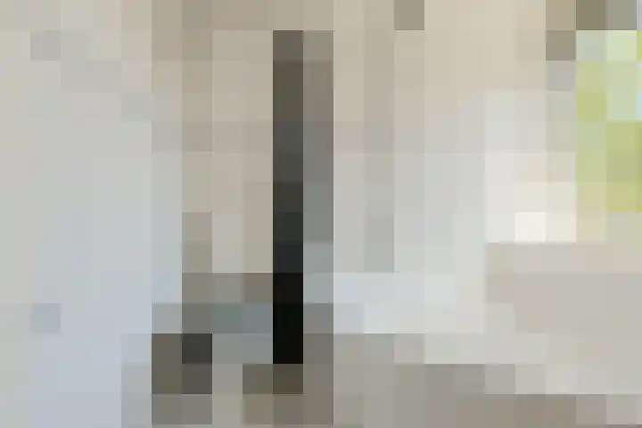 Schaepmanlaan 8 Oosterhout thumbnail 32