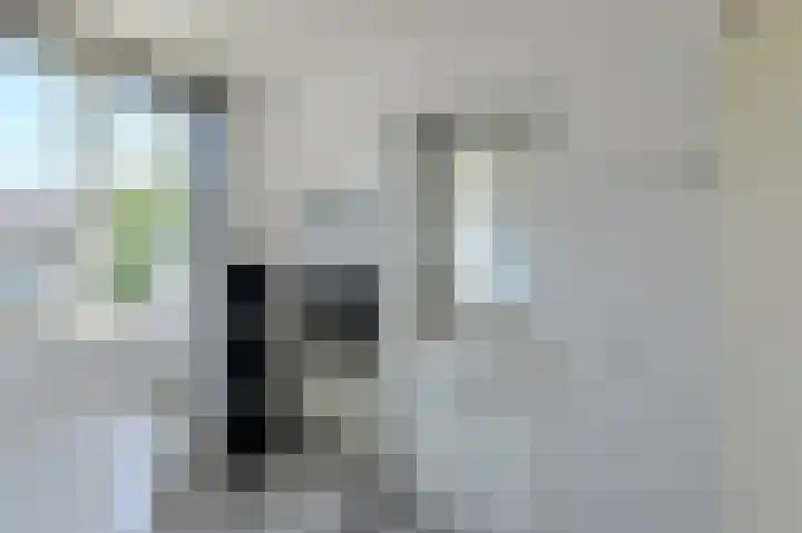 Schaepmanlaan 8 Oosterhout thumbnail 33