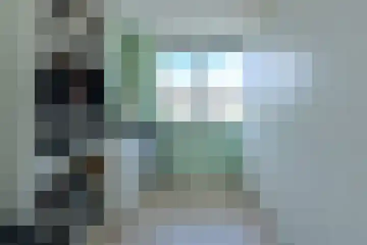 Schaepmanlaan 8 Oosterhout thumbnail 37
