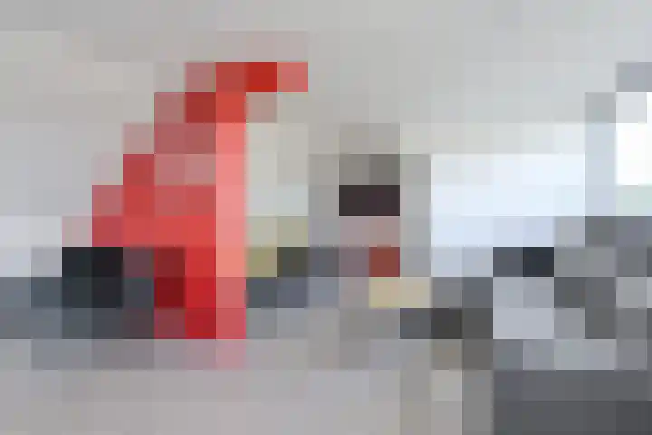Schaepmanlaan 8 Oosterhout thumbnail 40