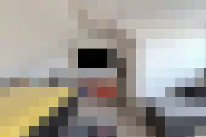 Schaepmanlaan 8 Oosterhout thumbnail 41