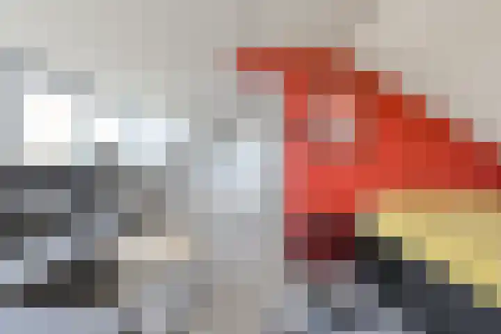Schaepmanlaan 8 Oosterhout thumbnail 43